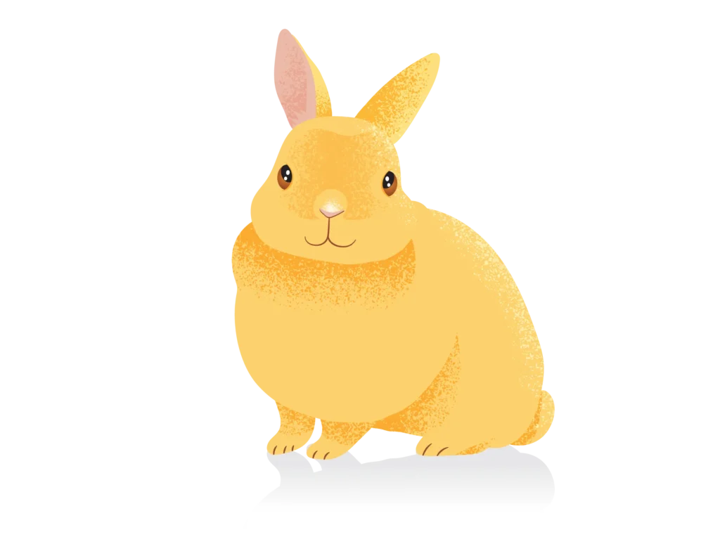 Bunny