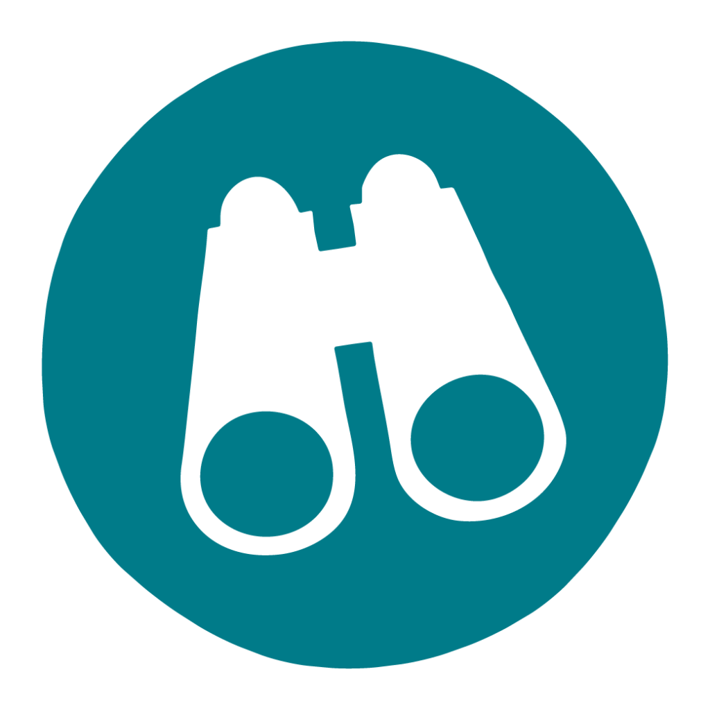 Binoculars icon